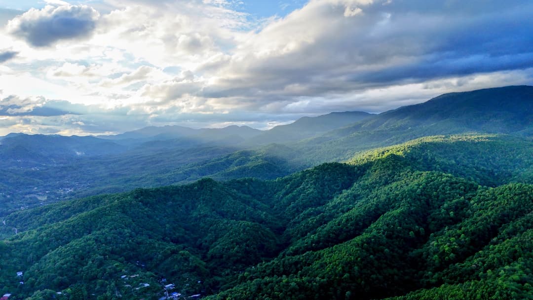 Doi Pui and Dou Suthep - Day Tour